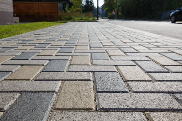 Best Local Driveway Pavers  in Wedgefield, FL
